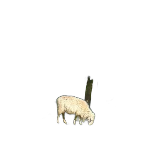 animal, weapon, staff, food transparent PNG cut-out