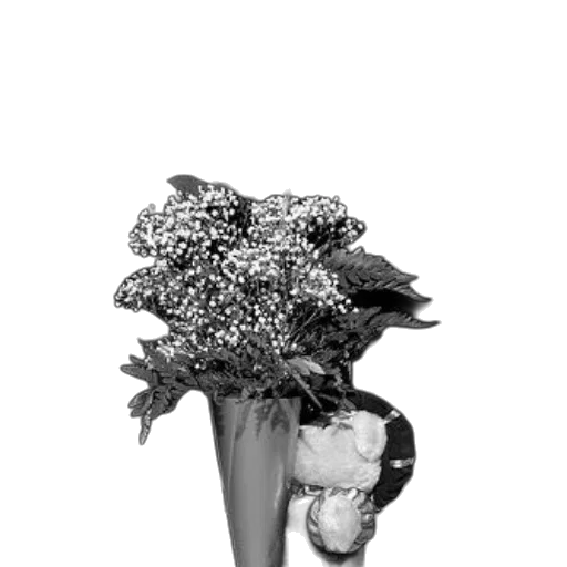 flower, crown, jewelry, shoes transparent PNG cut-out