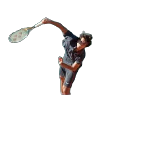 staff, weapon, umbrella, animal transparent PNG cut-out