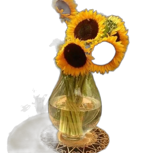 flower, bottle, mask, crown transparent PNG cut-out