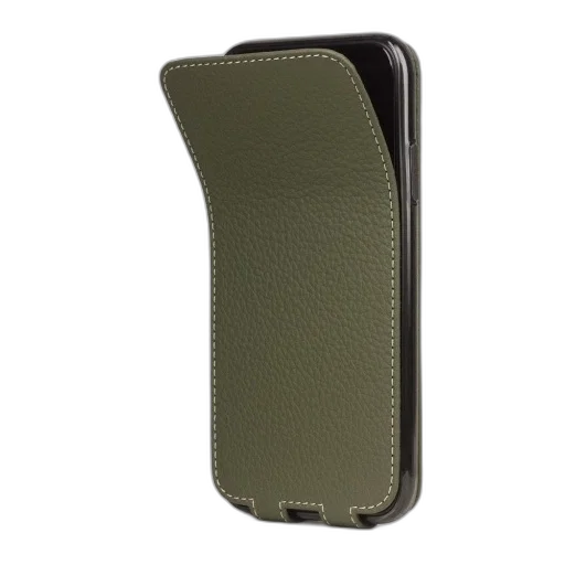 image, shows, green, leather transparent PNG cut-out