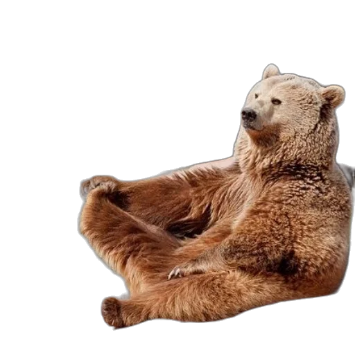 furniture, animal, creature, 3d render transparent PNG cut-out
