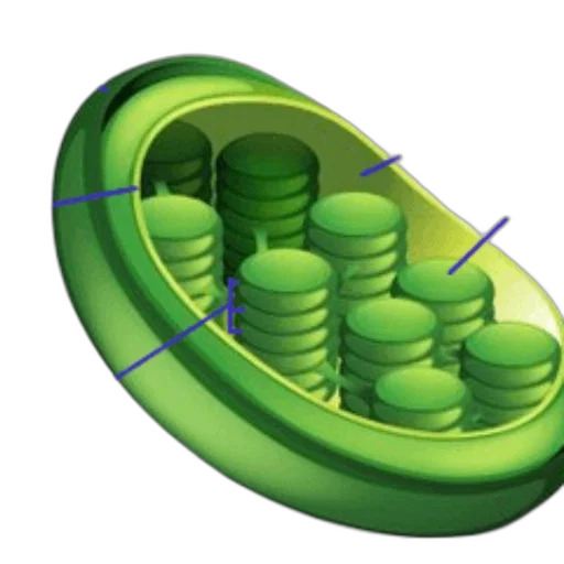 shoes, jewelry, weapon, 3d render transparent PNG cut-out