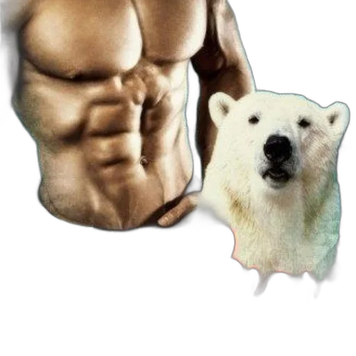 animal, creature, food, photorealistic transparent PNG cut-out