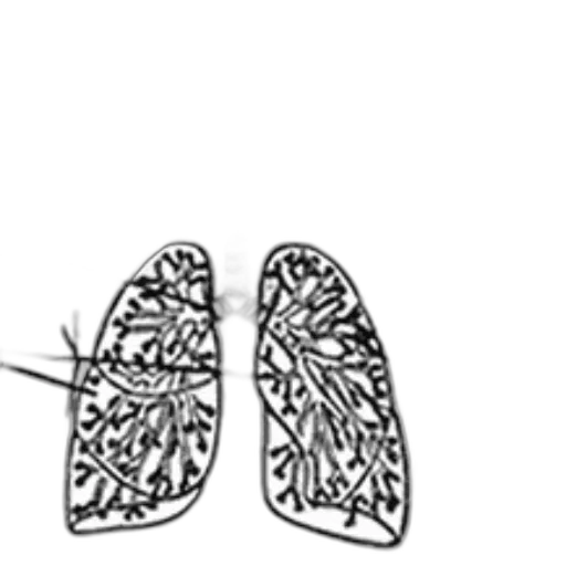shoes, jewelry, mask, crown transparent PNG cut-out