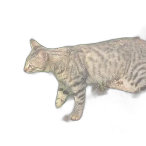 animal, creature, staff, weapon transparent PNG cut-out