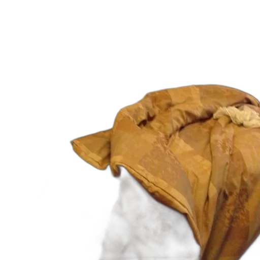 mask, umbrella, hair, hat transparent PNG cut-out