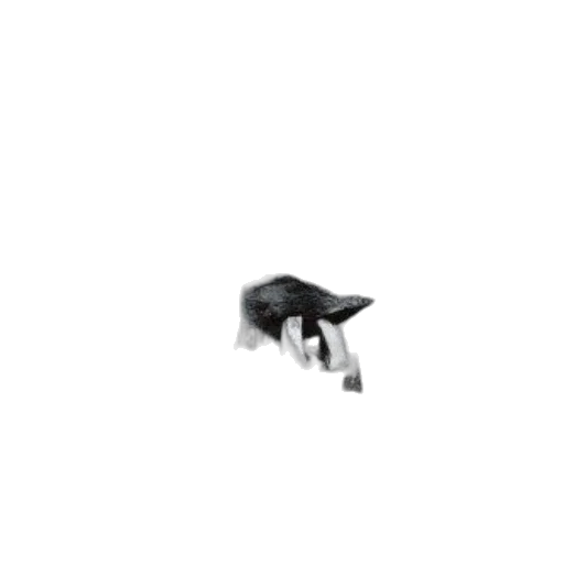 animal, creature, shoes, furniture transparent PNG cut-out