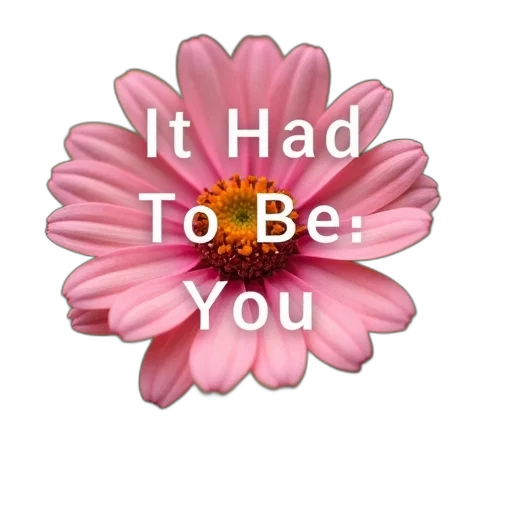 flower, jewelry, hat, hair transparent PNG cut-out