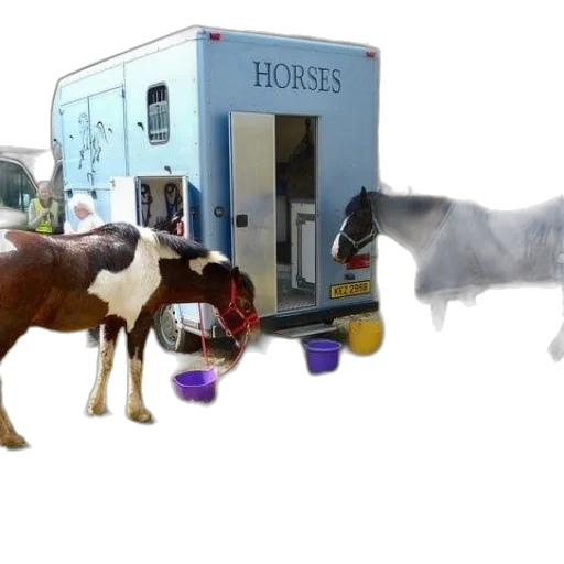 3d render, horse, trailer, word transparent PNG cut-out