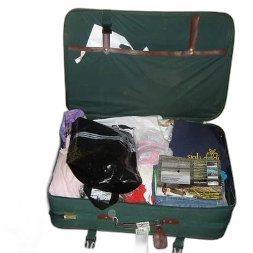 staff, green, suitcase, open transparent PNG cut-out