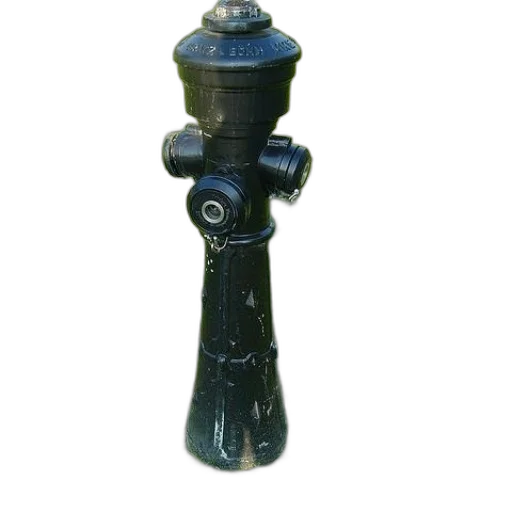 staff, bottle, crown, jewelry transparent PNG cut-out