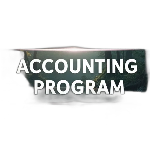 accounting, program, title transparent PNG cut-out