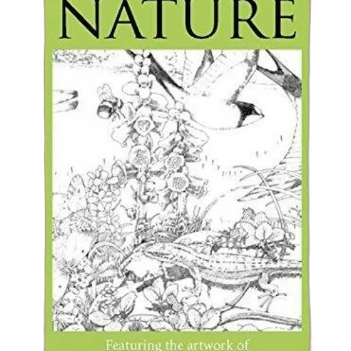 book, cover, detailed, black-and-white transparent PNG cut-out