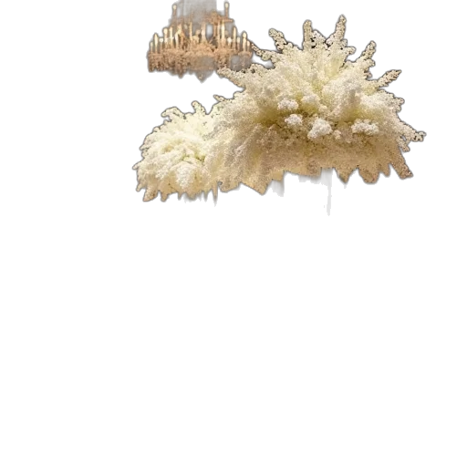crown, hair, flower, jewelry transparent PNG cut-out