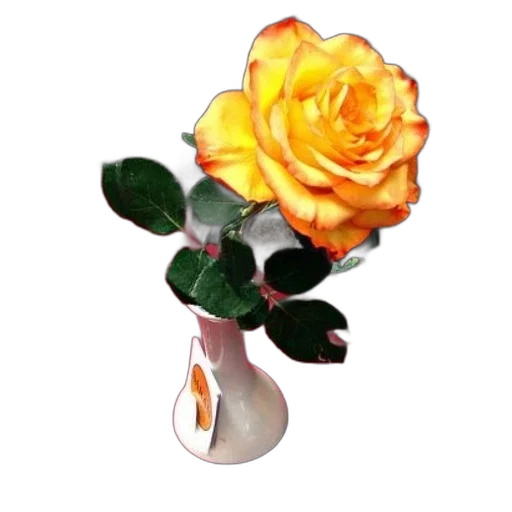 flower, crown, jewelry, staff transparent PNG cut-out