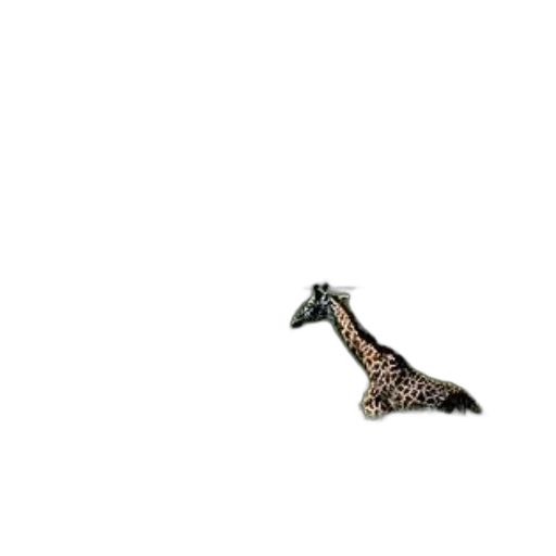 animal, dragon, creature, shoes transparent PNG cut-out