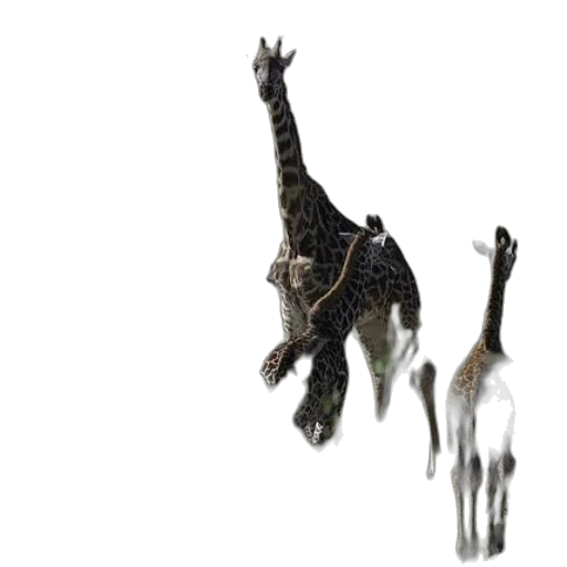 animal, creature, dragon, staff transparent PNG cut-out
