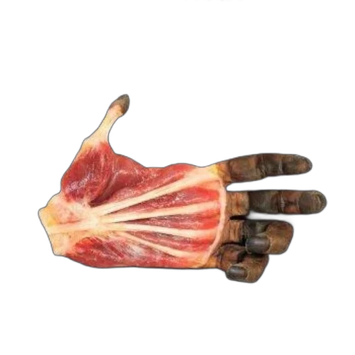 food, animal, weapon, mask transparent PNG cut-out