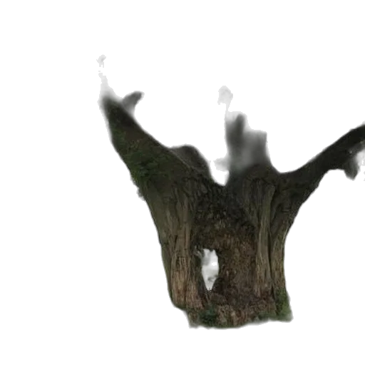tree, creature, dragon, hair transparent PNG cut-out