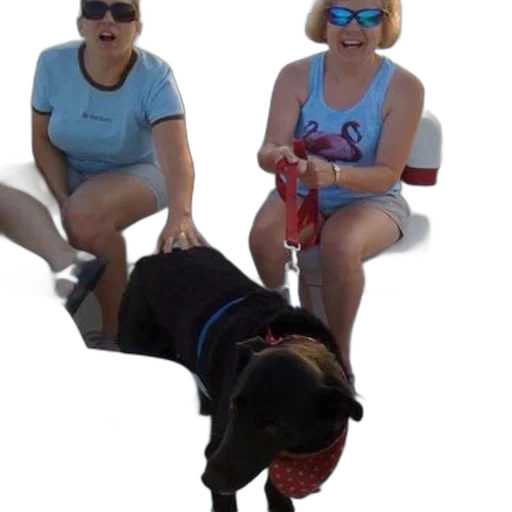 staff, creature, animal, two transparent PNG cut-out