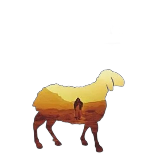 animal, creature, hair, furniture transparent PNG cut-out