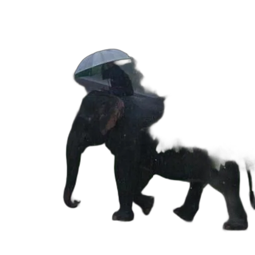 animal, creature, robot, dragon transparent PNG cut-out