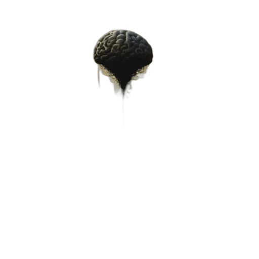 hair, hat, crown, umbrella transparent PNG cut-out