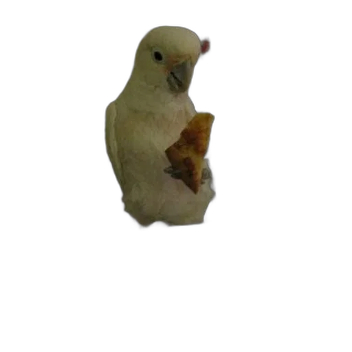 animal, food, creature, staff transparent PNG cut-out
