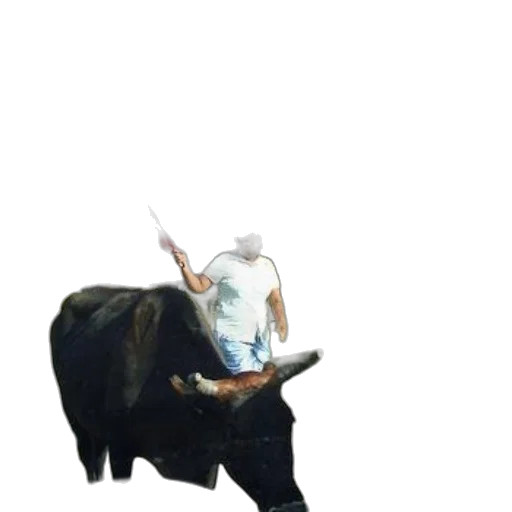 animal, weapon, sword, creature transparent PNG cut-out