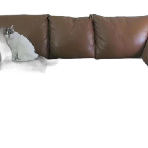 furniture, staff, weapon, animal transparent PNG cut-out