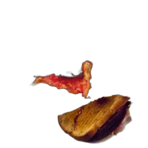 food, animal, dragon, weapon transparent PNG cut-out