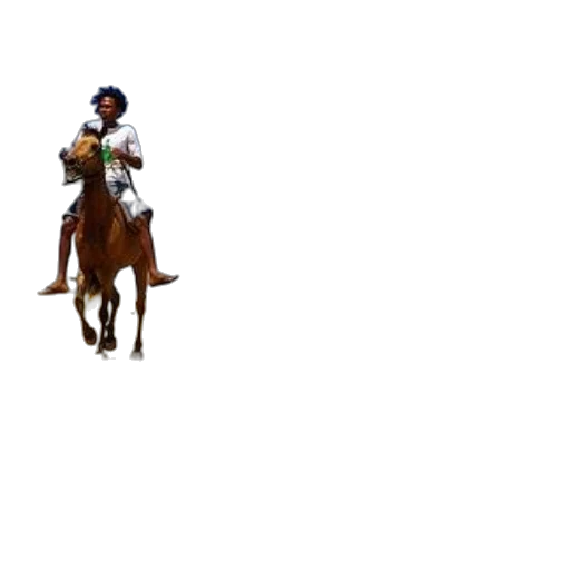 hat, animal, staff, sword transparent PNG cut-out