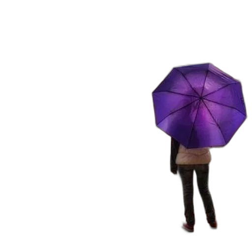 umbrella, jacket, staff, hat transparent PNG cut-out