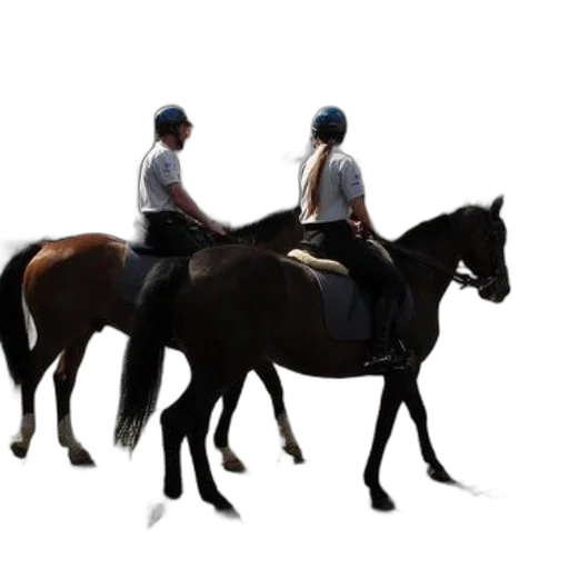 staff, animal, photorealistic, concept art transparent PNG cut-out
