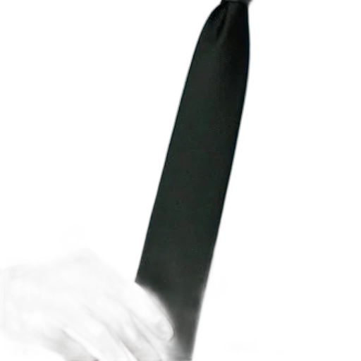 staff, sword, umbrella, weapon transparent PNG cut-out