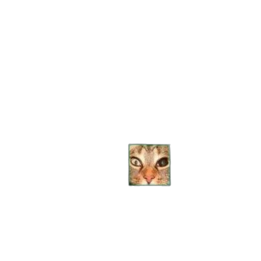face, mask, animal, creature transparent PNG cut-out