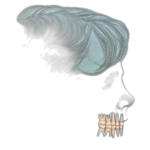 crown, hair, mask, jewelry transparent PNG cut-out