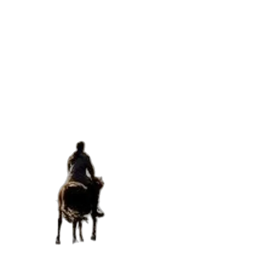 furniture, animal, robot, jacket transparent PNG cut-out
