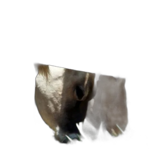 animal, mask, creature, face transparent PNG cut-out
