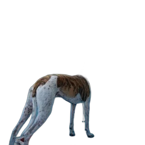 animal, creature, staff, dragon transparent PNG cut-out