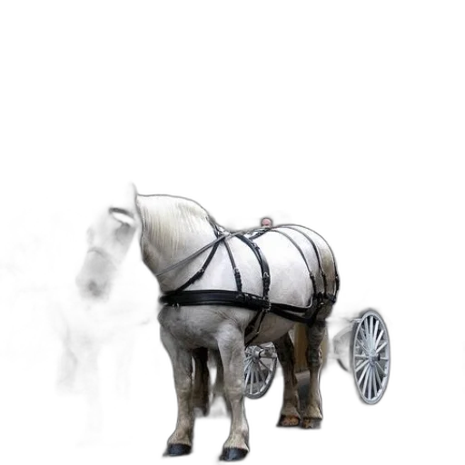 animal, robot, weapon, car transparent PNG cut-out
