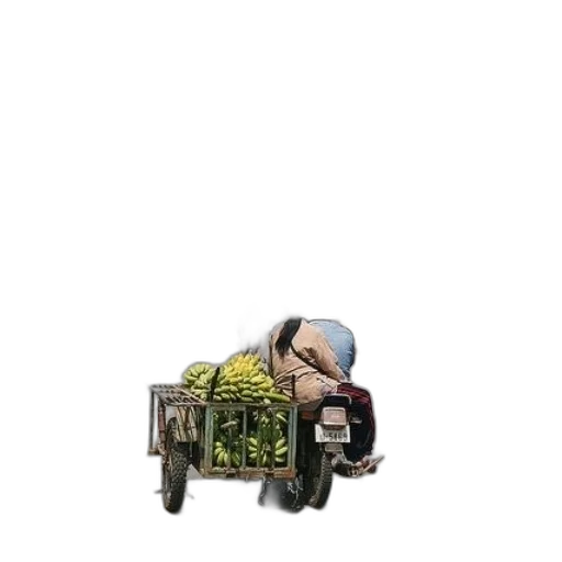 car, weapon, robot, creature transparent PNG cut-out