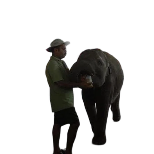 animal, creature, staff, weapon transparent PNG cut-out