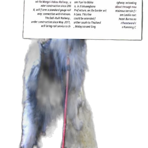 jacket, staff, animal, hair transparent PNG cut-out