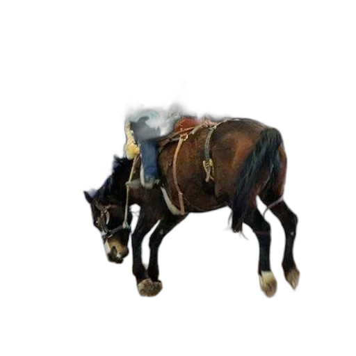 animal, staff, weapon, creature transparent PNG cut-out