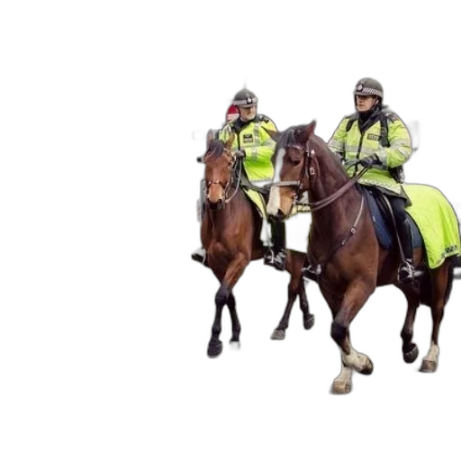staff, two, police, officers transparent PNG cut-out
