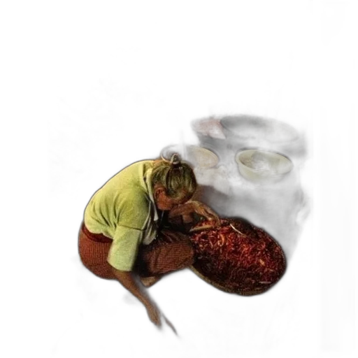 food, creature, animal, shoes transparent PNG cut-out