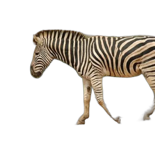 animal, creature, furniture, 3d render transparent PNG cut-out