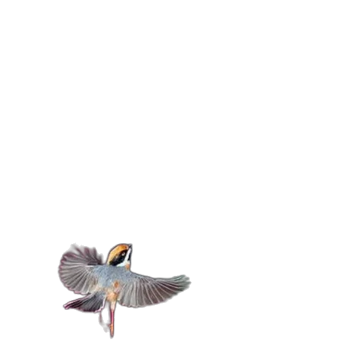 animal, creature, staff, weapon transparent PNG cut-out